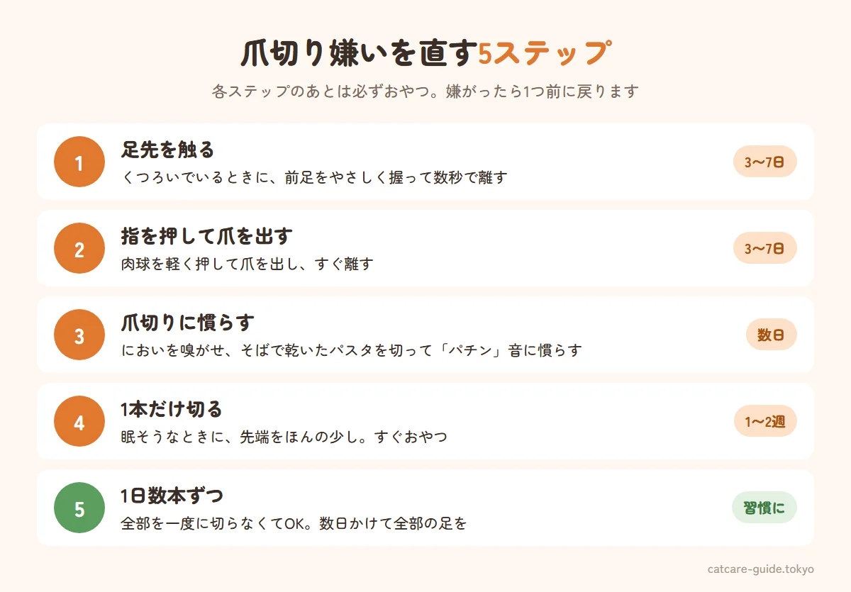 爪切りを嫌がる猫の慣らし方5ステップ。足先を触る、指を押して爪を出す、爪切りを見せて音に慣らす、寝ているときに1本だけ切る、1日数本ずつ切る。各ステップの後におやつをあげる