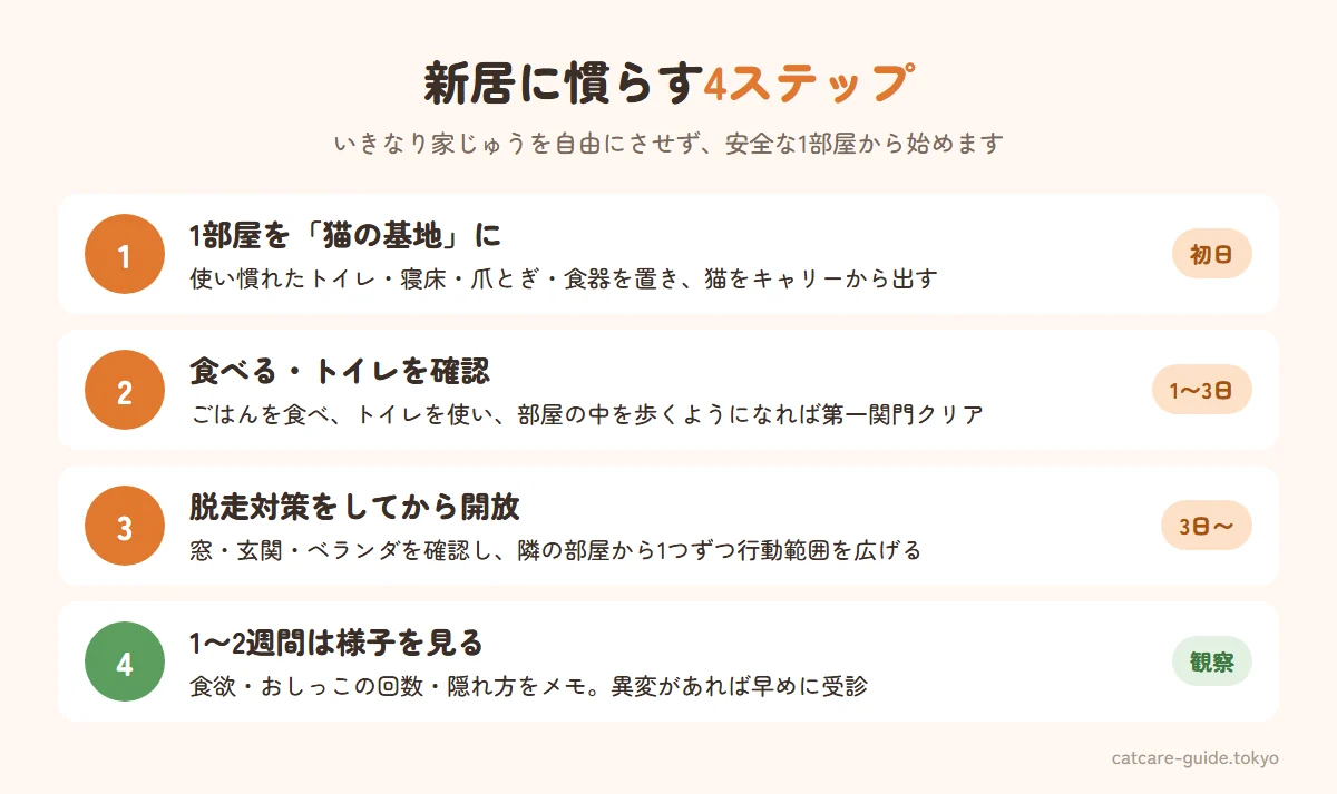 新居に猫を慣らす4ステップ。まず1部屋に使い慣れたトイレ・寝床・爪とぎを置く、猫がごはんを食べトイレを使えたら隣の部屋を開放、家全体を自由にする前に窓・玄関・ベランダの脱走対策を確認、1〜2週間は食欲・排泄・隠れ方を観察する