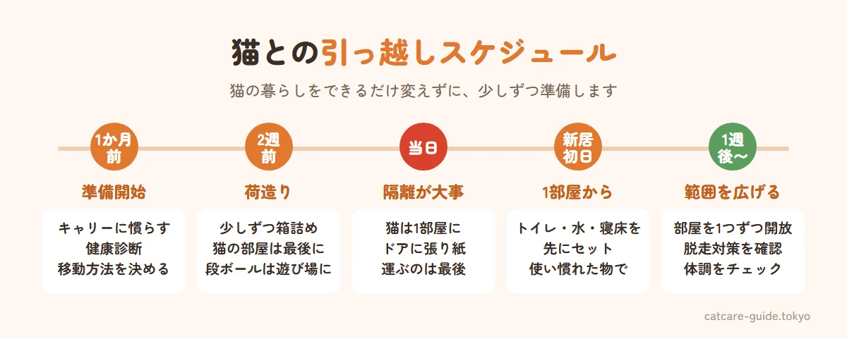 猫との引っ越しスケジュール。1か月前はキャリーに慣らし健康診断とマイクロチップの住所変更を準備、2週間前は荷造りを少しずつ始め猫の部屋は最後に、前日は猫の荷物をまとめ当日は猫を1部屋に隔離、新居では1部屋から慣らし、1週間後から行動範囲を広げる