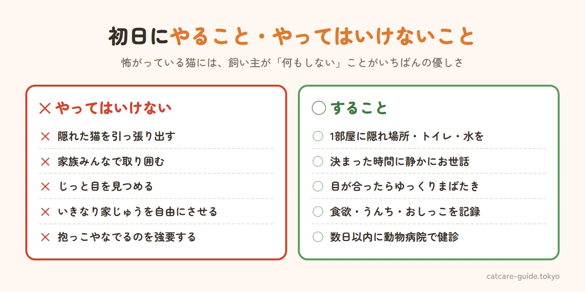 保護猫を迎えた初日にやってはいけないことと、すること。やってはいけないのは隠れた猫を引っ張り出す、家族みんなで囲む、じっと目を見つめる、家じゅうを自由にさせる、抱っこする。することは1部屋にトイレ・水・寝床・隠れ場所を用意、同じ時間に静かにお世話、ゆっくりまばたきをする、食欲と排泄を記録、数日以内に健康診断