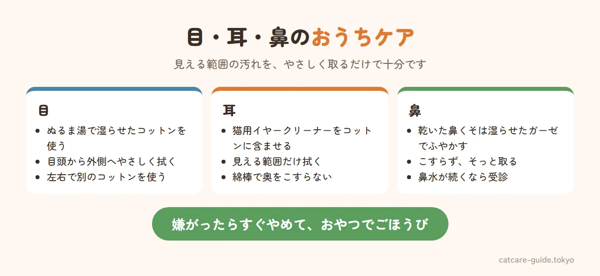 目・耳・鼻の自宅ケアの方法。目はぬるま湯で湿らせたコットンで目頭から外側へやさしく拭く、耳は見える範囲だけをイヤークリーナーを含ませたコットンで拭き綿棒は使わない、鼻は乾いた鼻くそを湿らせたガーゼでふやかして取る。どれも嫌がったら無理をしない