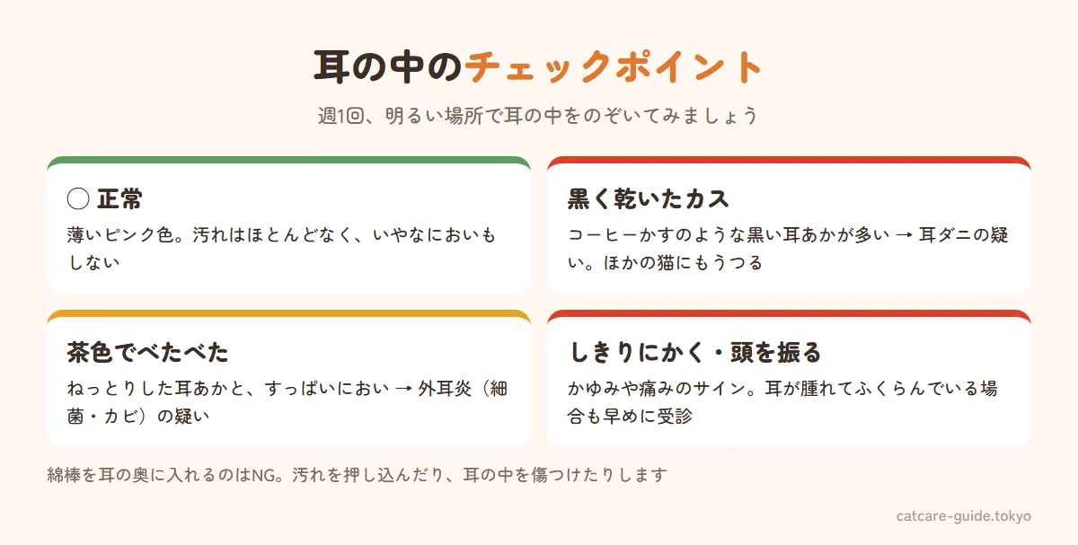 猫の耳の状態チェック。薄いピンク色で汚れやにおいがないのは正常。黒くて乾いたカスのような耳あかが多いのは耳ダニの疑い。茶色くべたべたした耳あかとにおいは外耳炎の疑い。耳をしきりにかく・頭を振る・耳が腫れているのは早めに受診