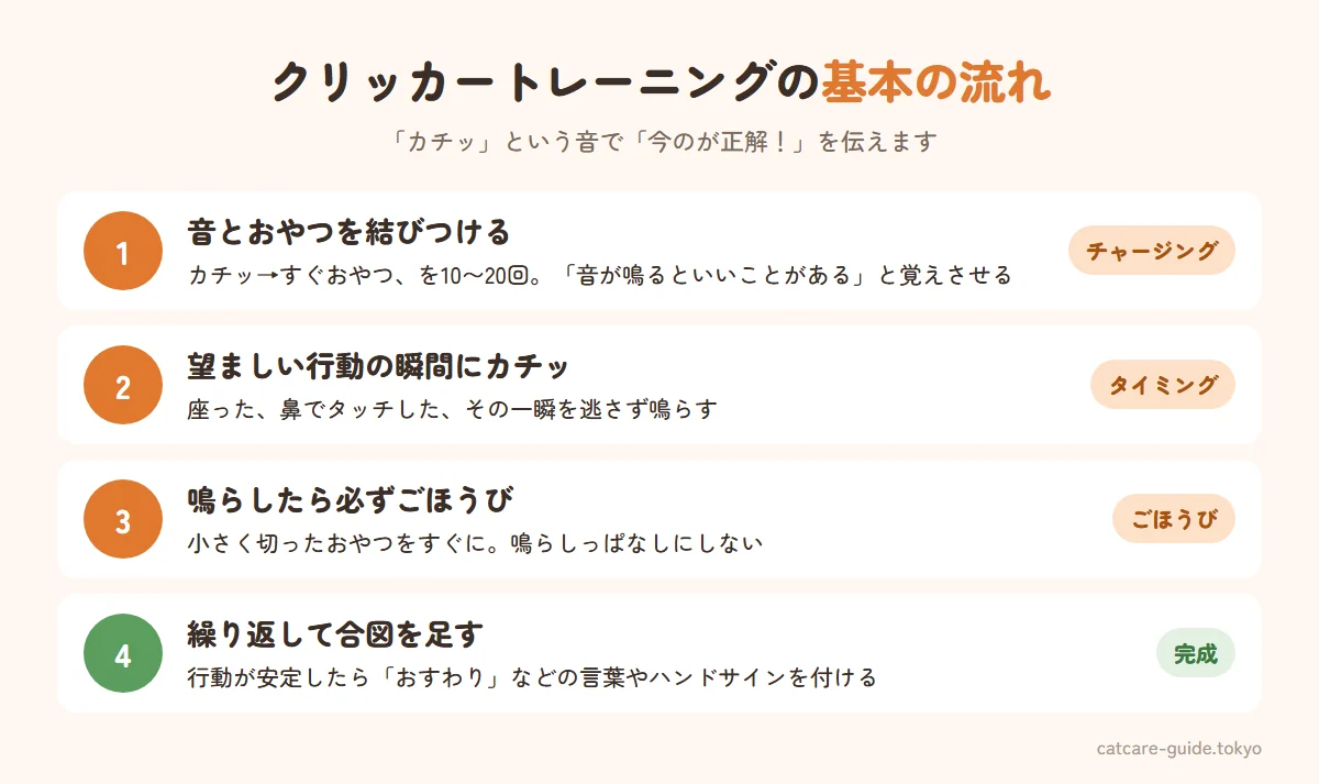 クリッカートレーニングの基本の流れ。まずクリック音とおやつを結びつけるチャージングを10〜20回、次に猫が望ましい行動をした瞬間にクリック、クリックしたら必ずすぐにおやつ、これを繰り返すと猫はその行動を自分からするようになる