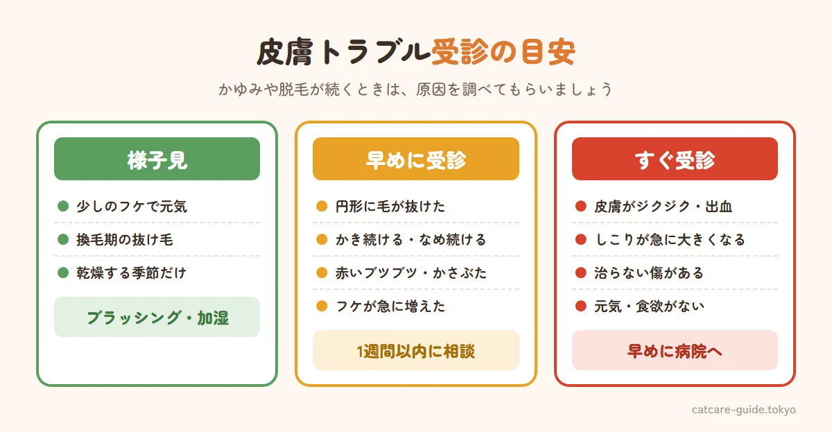 皮膚トラブルの受診の目安。様子見は少しのフケだけで元気、季節の抜け毛。早めに受診は円形の脱毛、かき続ける・なめ続ける、赤いブツブツやかさぶた、フケが急に増えた。すぐ受診は皮膚がジクジク・出血、しこりが急に大きくなる、治らない傷、元気や食欲がない