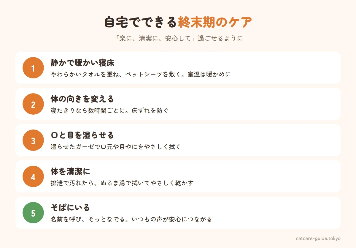 自宅でできる終末期のケア。静かで暖かい場所に寝床を作る、床ずれを防ぐため数時間ごとに体の向きを変える、湿らせたガーゼで口や目のまわりを拭く、排泄で汚れたら体を拭いて清潔に保つ、そっと声をかけてなでる