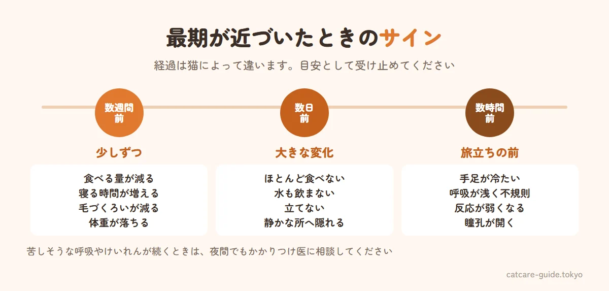 老猫の最期が近づいたときのサインの目安。数週間前は食べる量が減る・寝ている時間が増える・毛づくろいをしなくなる・体重が減る。数日前はほとんど食べず水も飲まない・立てない・トイレに行けない・静かな場所に隠れる。数時間前は体温が下がり手足が冷たい・呼吸が浅く不規則・反応が弱くなる