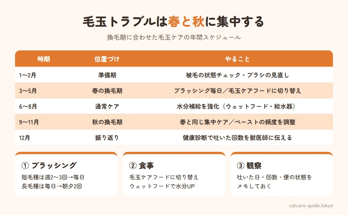 換毛期に合わせた毛玉ケアの年間スケジュール。3〜5月の春の換毛期と9〜11月の秋の換毛期はブラッシングを毎日にして毛玉ケアフードを使う集中ケア期、6〜8月は水分補給を強化、12月は健診で1年を振り返る