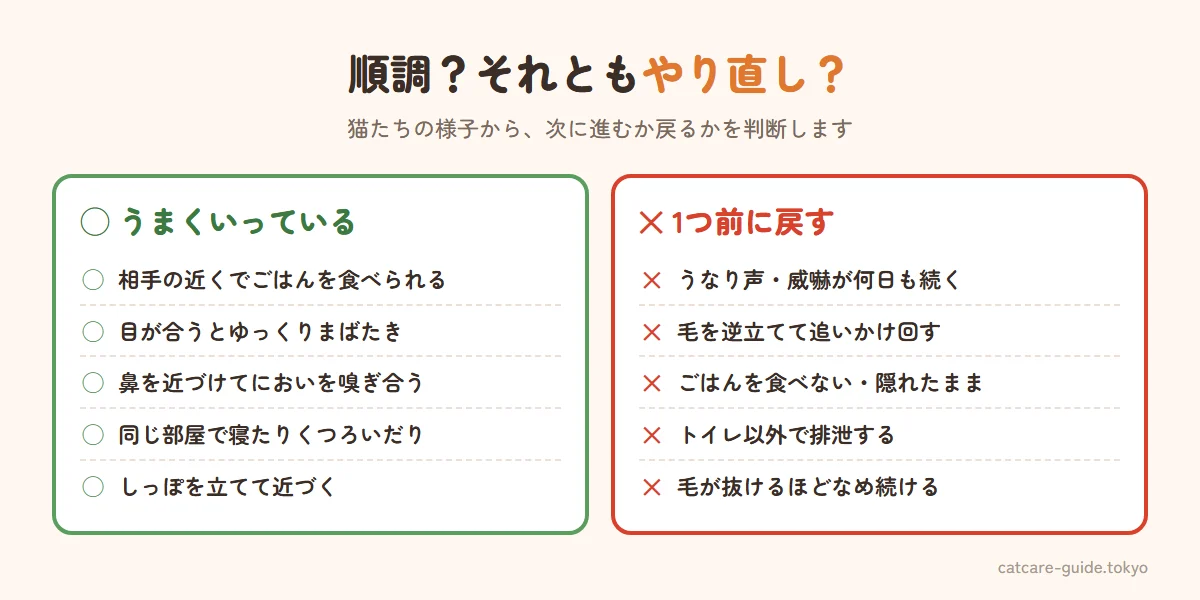猫同士の導入がうまくいっているサインと、やり直したほうがいいサイン。うまくいっているのは相手のそばでごはんを食べられる、ゆっくりまばたきをする、においを嗅ぎ合う、同じ部屋でくつろげる。やり直しのサインはうなり声や威嚇が続く、毛を逆立てて追いかける、ごはんを食べない・隠れたまま、トイレ以外で排泄する