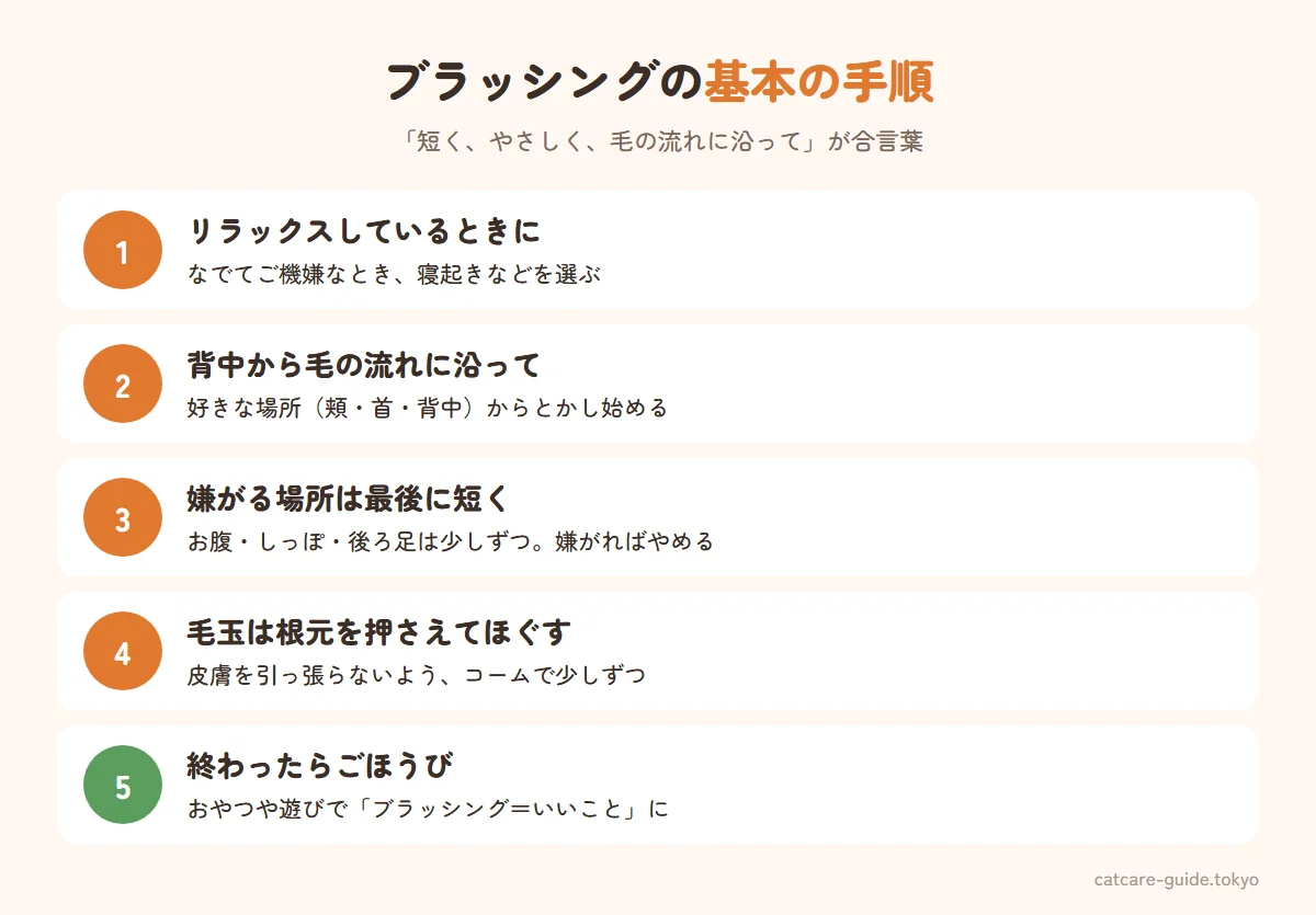 猫のブラッシングの基本手順。猫がリラックスしているときに始める、背中から毛の流れに沿ってとかす、お腹やしっぽなど嫌がる場所は最後に短く、毛玉はコームで根元を押さえながら少しずつほぐす、終わったらおやつでごほうび