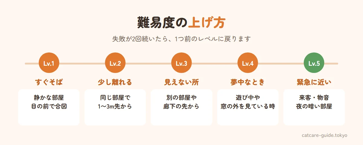 緊急時に使える呼び戻しに仕上げる難易度の上げ方。レベル1は静かな部屋で近くから、レベル2は同じ部屋で離れて、レベル3は別の部屋から、レベル4は遊びや窓の外に夢中なとき、レベル5は来客や物音があるとき。失敗が続いたら1つ前のレベルに戻る