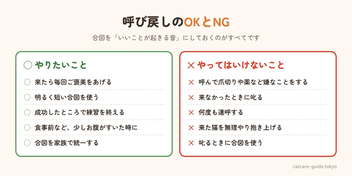呼び戻しトレーニングのOKとNG。OKは来たら毎回ご褒美、明るく短い合図、成功で練習を終える、お腹がすいた食事前に練習、合図を家族で統一。NGは呼んで爪切りや薬など嫌なことをする、来なかったときに叱る、何度も連呼する、無理やり抱き上げる、叱るときに合図を使う