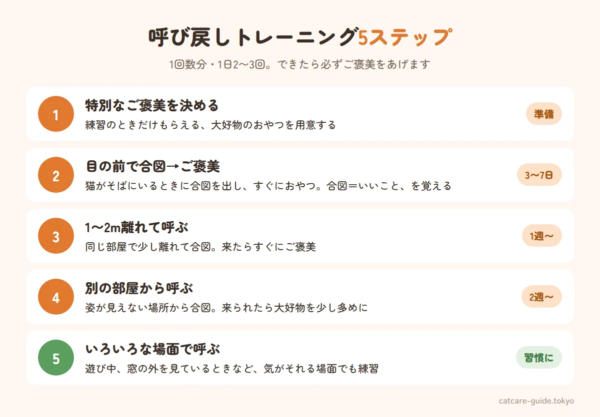 猫の呼び戻しトレーニング5ステップ。特別なご褒美を決める、目の前で合図を出してすぐご褒美、1〜2メートル離れて呼ぶ、別の部屋から呼ぶ、日常のいろいろな場面で呼ぶ。1回の練習は数分、1日2〜3回まで