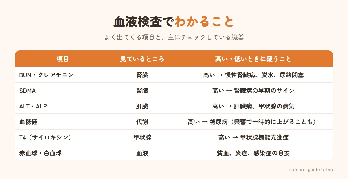 猫の血液検査で見る主な項目。BUNとクレアチニンとSDMAは腎臓の働き、ALTとALPは肝臓、血糖値は糖尿病、T4は甲状腺機能亢進症、赤血球や白血球などの血球検査は貧血や炎症・感染症の目安