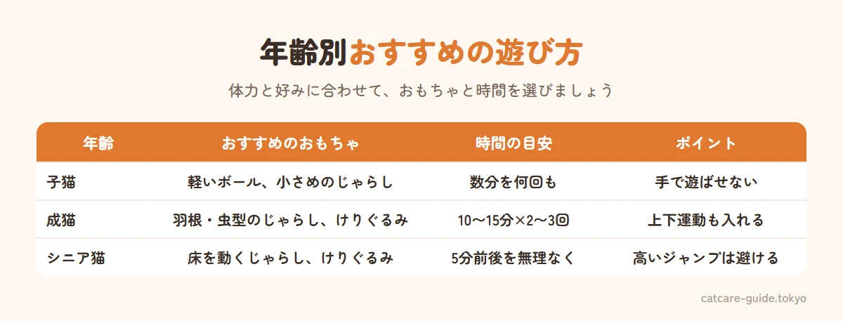 年齢別のおすすめのおもちゃと遊び方。子猫は軽いボールや小さめのじゃらしで短い遊びを何回も、成猫は羽根や虫の形のじゃらしで上下運動も取り入れて1回10〜15分を1日2〜3回、シニア猫は床をゆっくり動くじゃらしやけりぐるみで短時間を無理なく