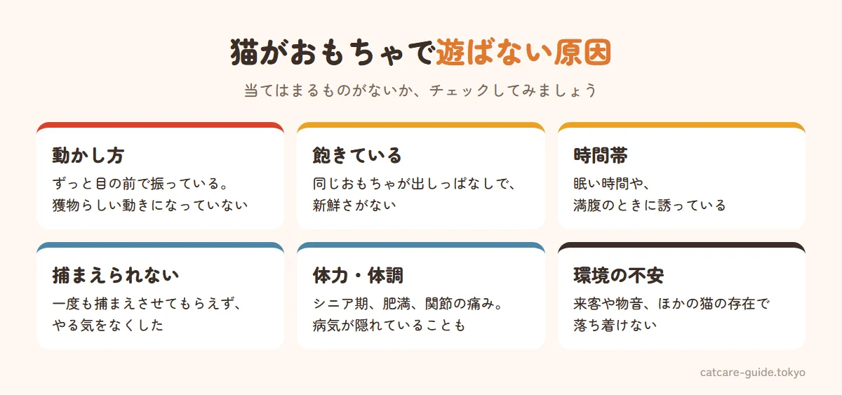 猫がおもちゃで遊ばない6つの原因。動かし方が獲物らしくない、おもちゃに飽きている、遊ぶ時間帯が合っていない、捕まえられず満足できない、年齢や体調で体力が落ちている、環境に不安がある