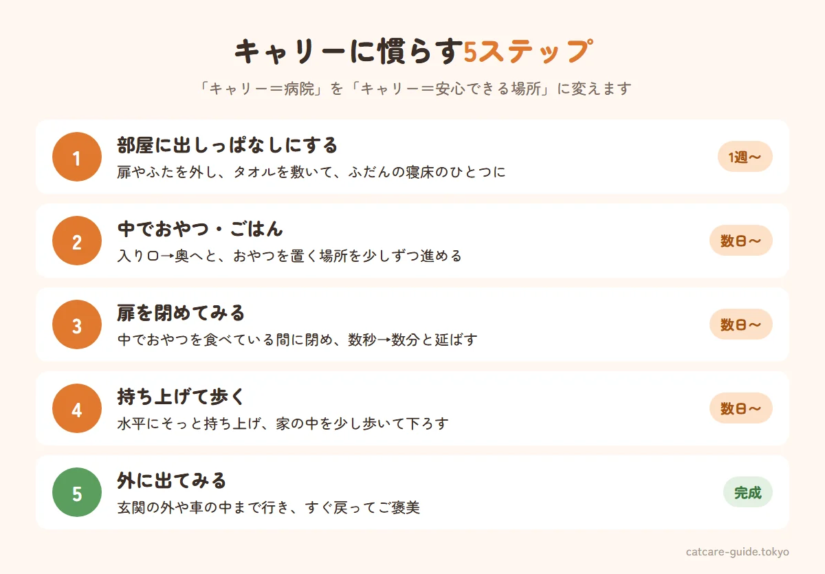 猫をキャリーに慣れさせる5ステップ。扉を外して部屋に置き家具にする、中でおやつやごはんをあげる、扉を閉めて数秒から数分に延ばす、持ち上げて家の中を少し歩く、車や外に出て短い距離を移動する。各ステップのあとにご褒美
