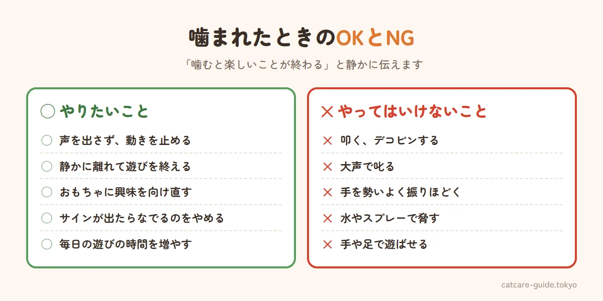 噛まれたときの対応のOKとNG。OKは声を出さずに動きを止める、静かにその場を離れて遊びを終える、おもちゃに興味を向け直す、噛む前のサインでなでるのをやめる、遊びの時間を増やす。NGは叩く・デコピンする、大声で叱る、手を振りほどく、水をかける・スプレーで脅す、手や足で遊ばせる
