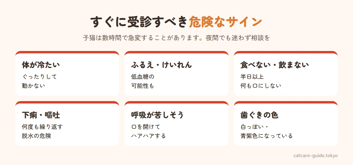 子猫ですぐに動物病院へ行くべきサイン。体が冷たくぐったりしている、ふるえやけいれんがある、半日以上何も食べない・飲まない、水のような下痢や嘔吐を何度も繰り返す、口を開けて苦しそうに呼吸する、歯ぐきが白い・青紫色