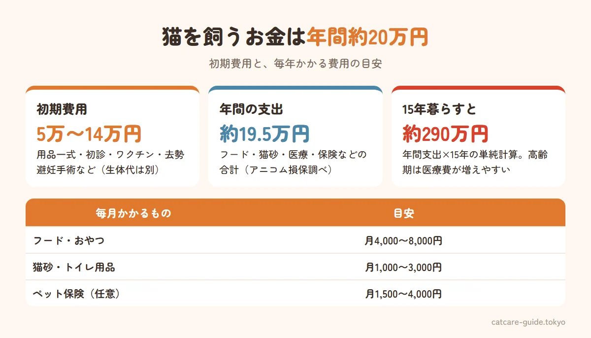 猫を飼う費用の目安。初期費用は用品と医療を合わせて5万〜14万円。年間の支出はアニコム損保の調査で約19.5万円。15年暮らすと単純計算で約290万円になる