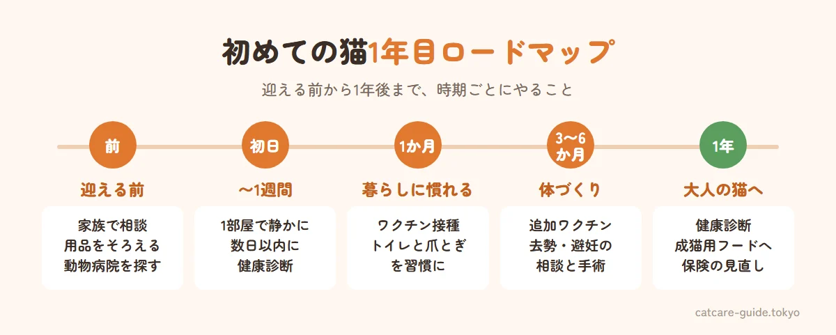 猫を迎える1年目のロードマップ。迎える前は家族会議と準備と病院探し、初日から1週間は1部屋で静かに慣らし数日以内に健康診断、1か月でワクチンとトイレ・爪とぎの習慣化、3〜6か月で去勢避妊の相談と追加ワクチン、1年で健康診断と成猫用フードへ