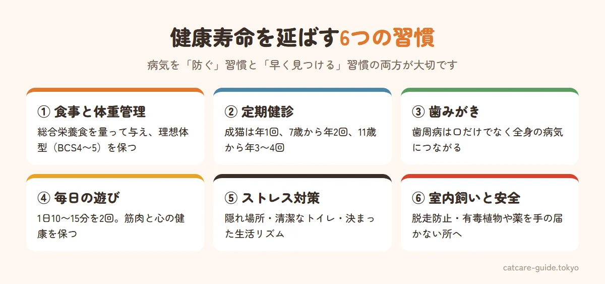 猫の健康寿命を延ばす6つの習慣。食事と体重管理、定期健診と予防医療、歯みがき、毎日の遊び、ストレスの少ない環境、完全室内飼いと安全管理
