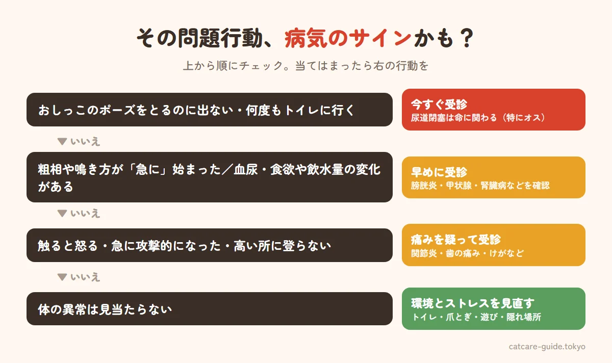 猫の問題行動が病気か行動の問題かを見分けるフロー。おしっこのポーズで出ない場合はすぐ受診、急に始まった・血尿や食欲の変化がある場合は早めに受診、触ると怒る・急に攻撃的になった場合は痛みの可能性で受診、当てはまらなければ環境とストレスを見直す