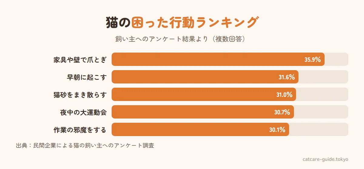 猫の困った行動ランキング。1位家具や壁で爪とぎ35.9％、2位早朝に起こす31.6％、3位猫砂をまき散らす31.0％、4位夜中の大運動会30.7％、5位作業の邪魔をする30.1％（民間調査より）