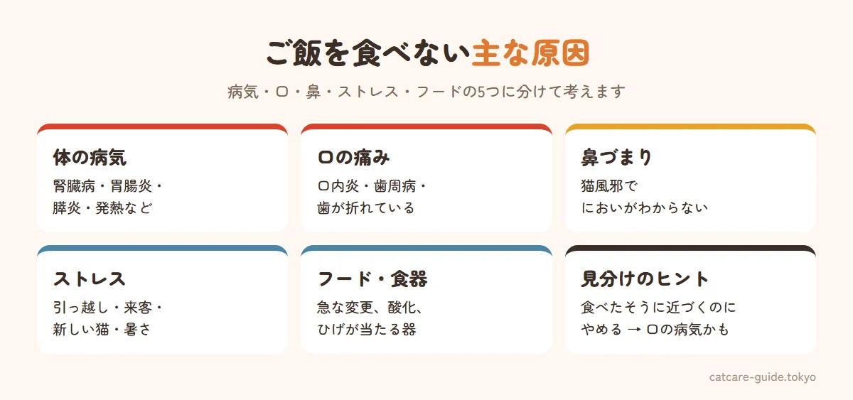 猫がご飯を食べない主な原因。体の病気は腎臓病・胃腸炎・膵炎・発熱など。口の痛みは口内炎・歯周病・歯の破折。鼻づまりは猫風邪でにおいがわからない。ストレスは引っ越し・来客・新しい猫など。フードや食器はフードの変更・酸化・ひげが当たる器。食べたいのに食べられない様子なら口の病気を疑う