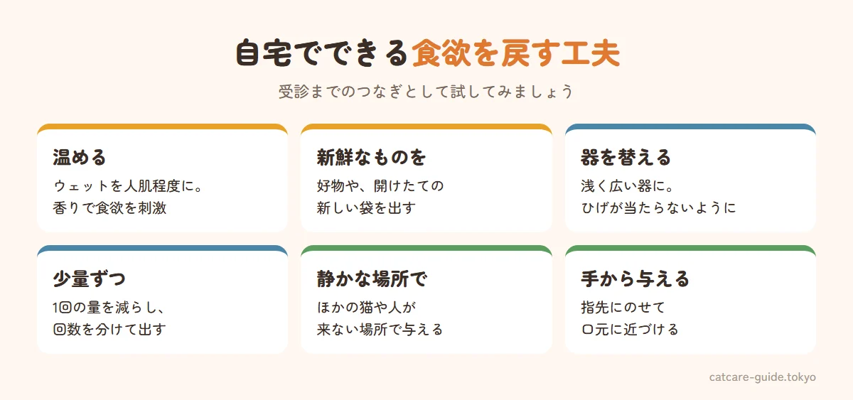 自宅でできる食欲を戻す工夫。ウェットフードを人肌程度に温めて香りを立たせる、いつもの好物や新しい袋を開ける、浅く広い食器に替える、少量ずつ回数を分けて出す、静かで落ち着ける場所で与える、指先にのせて口元に近づける。受診までのつなぎとして試し、改善しなければ必ず受診