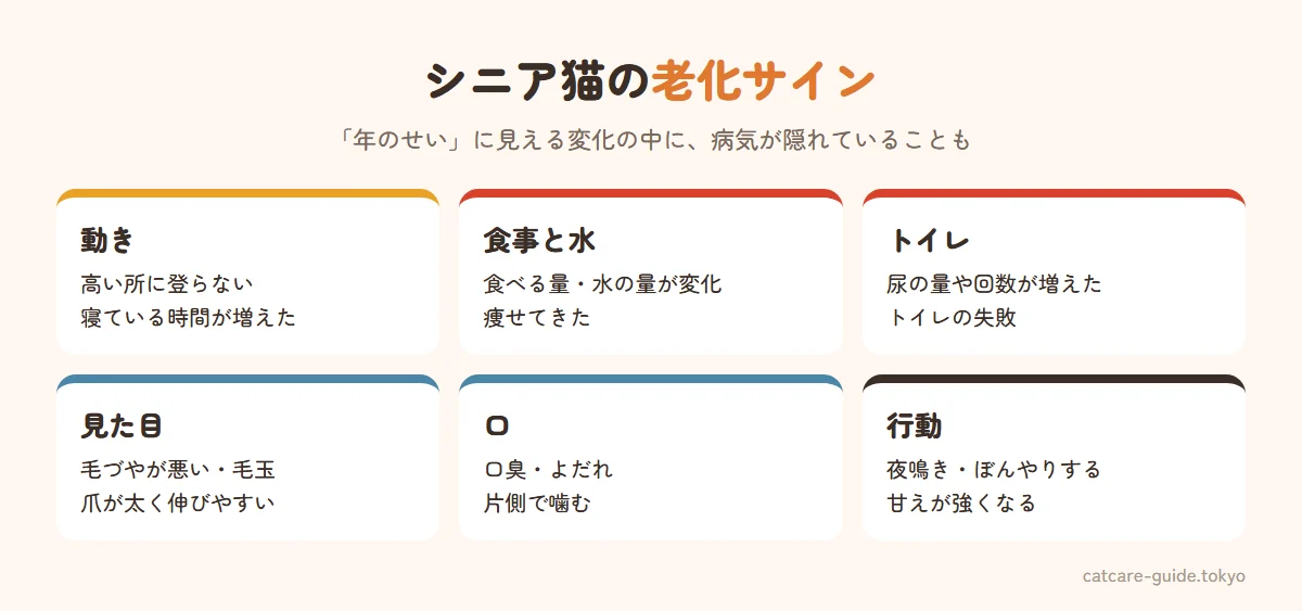 シニア猫の老化サインのチェックポイント。動きは高い所に登らない・寝ている時間が増えた。食事と水は食べる量や飲む水の量が変わった・痩せてきた。トイレは尿の量や回数が増えた・トイレの失敗。見た目は毛づやが悪い・毛玉が増えた・爪が太く伸びやすい。口は口臭・よだれ・片側で噛む。行動は夜鳴き・ぼんやりする・甘えが強くなる