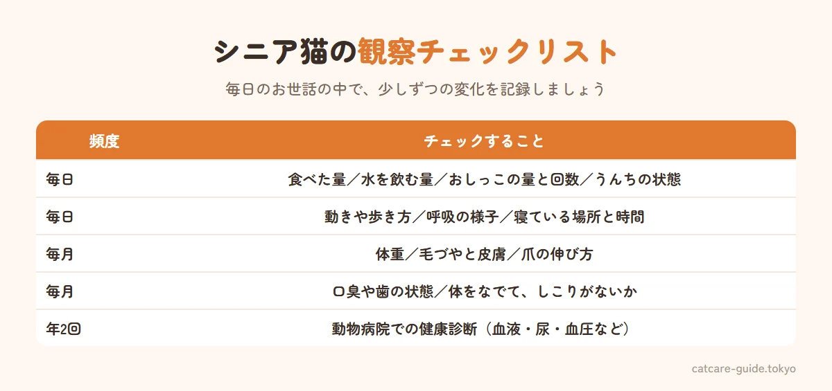 シニア猫の毎日と毎月の観察チェックリスト。毎日は食べた量、水を飲む量、おしっこの量と回数、うんちの状態、動きや歩き方、呼吸の様子。毎月は体重、毛づやと皮膚、爪の伸び方、口臭や歯の状態、しこりがないか