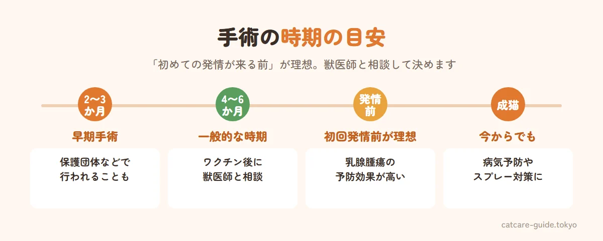 猫の去勢・避妊手術の時期の目安。生後2〜3か月は保護団体などで行う早期手術、生後4〜6か月は一般的な手術の時期でワクチン後に獣医師と相談、初めての発情が来る前が理想でメスの乳腺腫瘍予防の効果が高い、成猫になってからでも手術は可能で病気の予防やスプレー対策に効果がある