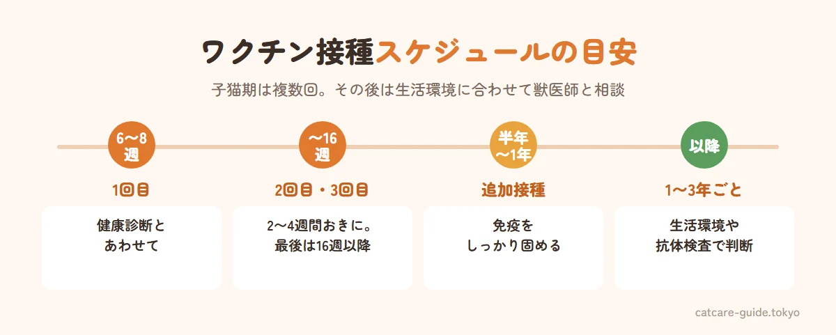 猫のワクチン接種スケジュールの目安。生後6〜8週ごろに1回目、2〜4週間おきに2回目・3回目を接種し最後は生後16週以降に、生後6か月〜1歳で追加接種、その後は生活環境に応じて1〜3年ごと。スケジュールは獣医師と相談して決める