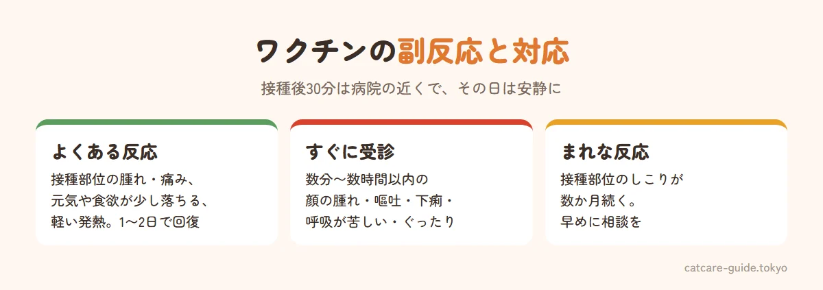 ワクチンの副反応と対応。よくあるものは接種部位の腫れや痛み、元気や食欲が少し落ちる、軽い発熱で1〜2日でおさまることが多い。すぐに受診が必要なのは接種後数分〜数時間の顔の腫れ・嘔吐・下痢・呼吸が苦しい・ぐったりするなどのアナフィラキシー。まれなものは接種部位のしこりが数か月続く場合で、注射部位肉腫の可能性もあるため受診