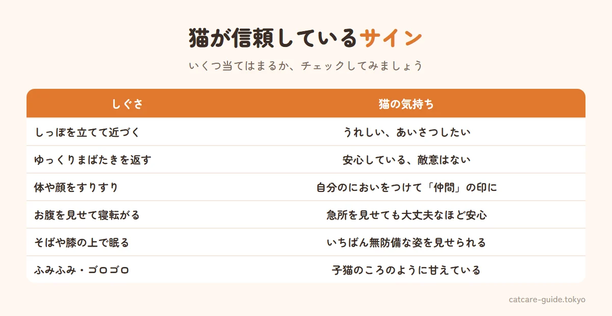 猫が飼い主を信頼しているサイン。しっぽをピンと立てて近づいてくる、ゆっくりまばたきを返す、体や顔をすりすりこすりつける、お腹を見せて寝転がる、そばや膝の上で眠る、前足でふみふみする、のどをゴロゴロ鳴らす、玄関まで出迎える