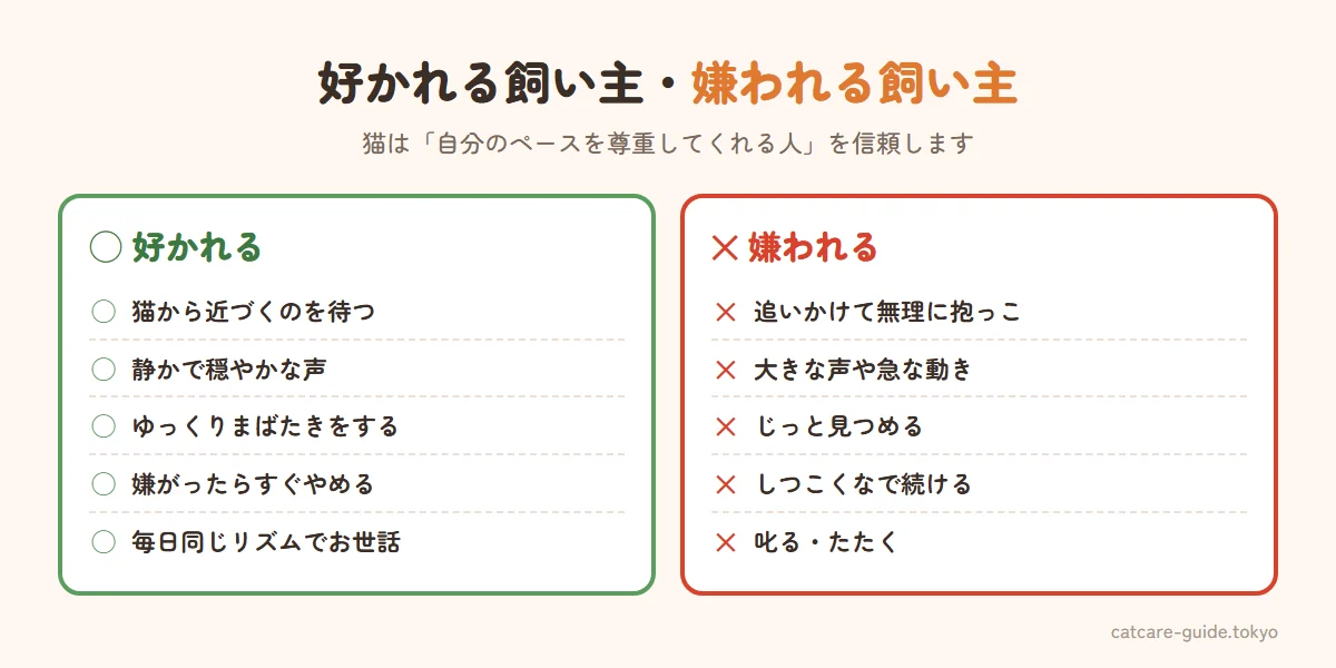 猫に好かれる飼い主と嫌われる飼い主の違い。好かれるのは猫から近づくのを待つ、静かで穏やかな声、ゆっくりまばたきをする、猫が嫌がったらすぐやめる、毎日同じリズムでお世話をする。嫌われるのは追いかけて無理に抱っこする、大きな声や急な動き、じっと見つめる、しつこくなで続ける、叱る・たたく