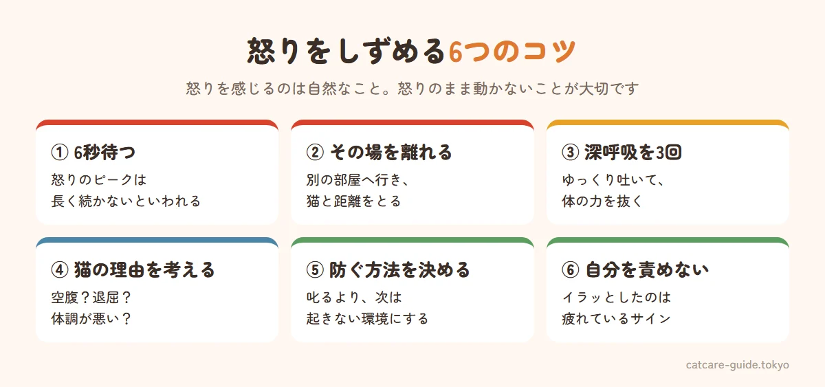 猫に腹が立ったときの怒りをしずめる6つのコツ。1 6秒待つ（怒りのピークは長く続かないといわれる）、2 その場を離れる、3 深呼吸を3回、4 猫の理由を考える、5 次に防ぐ方法を決める、6 自分を責めない