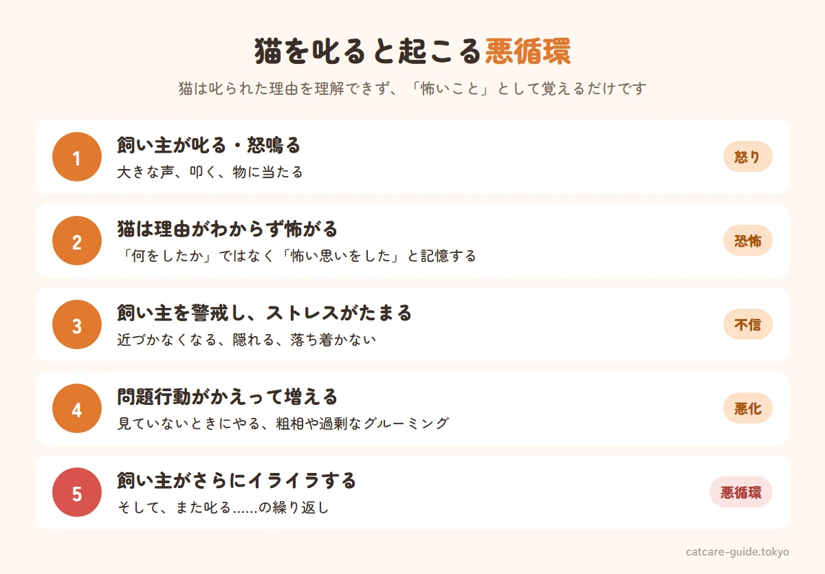 猫を叱ると起こる悪循環。飼い主が叱る、猫は理由がわからず怖いと感じる、飼い主を警戒しストレスがたまる、隠れてやる・問題行動が増える、飼い主がさらにイライラする。叱るより環境を変えるほうが効果的