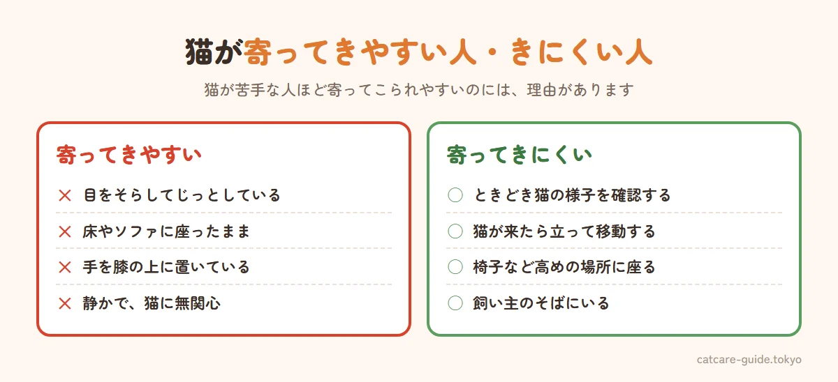 猫が寄ってきやすいふるまいと寄ってきにくいふるまい。寄ってきやすいのは、目をそらしてじっとしている、床やソファに座ったまま、手を膝の上に置いている、静かで猫に無関心。寄ってきにくいのは、ときどき猫の様子を確認する、猫が来たら立って移動する、椅子など高めの場所に座る、飼い主のそばにいる
