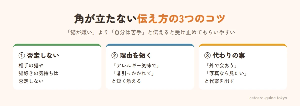 角が立たない伝え方の3つのコツ。相手の猫や猫好きの気持ちは否定しない、苦手な理由を短く添える（アレルギー気味で、昔引っかかれて）、代わりの案を出す（外で会おう、写真なら見たい）