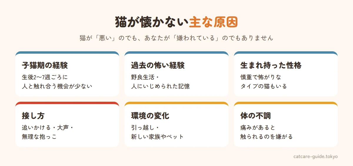 猫が懐かない主な原因。子猫期に人と触れ合う経験が少なかった、野良生活や過去の怖い経験、生まれ持った慎重な性格、追いかける・大きな声などの接し方、引っ越しや新しい家族など環境の変化、痛みや体調不良