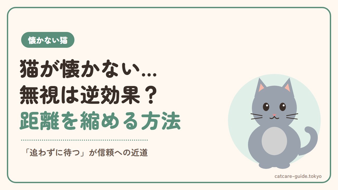 猫が懐かないとイライラ…無視は逆効果