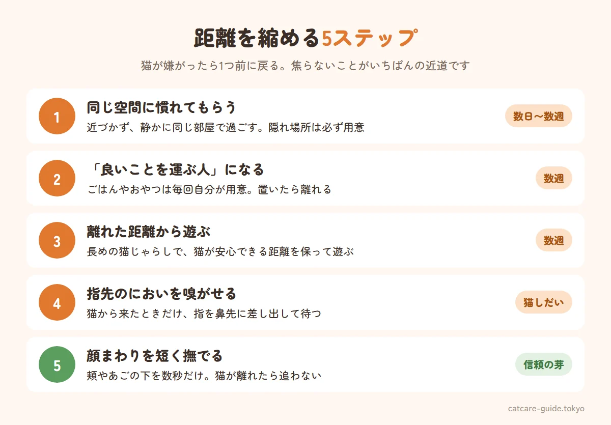 懐かない猫と距離を縮める5ステップ。1 人がいる空間に慣れてもらう、2 おやつやごはんで人は良いことを運んでくると覚えてもらう、3 猫じゃらしで離れた距離から遊ぶ、4 猫から近づいてきたら指先でにおいを嗅がせる、5 顔まわりを短く撫でる。嫌がったら1つ前に戻る