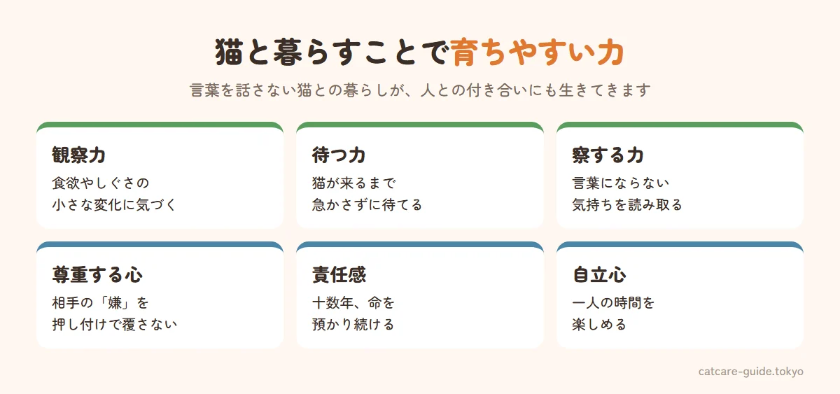 猫と暮らすことで育ちやすい力。小さな変化に気づく観察力、相手のペースを待てる忍耐力、言葉にならない気持ちを読み取る共感力、自分の都合を押し付けない尊重の気持ち、命を預かる責任感、一人の時間を楽しめる自立心