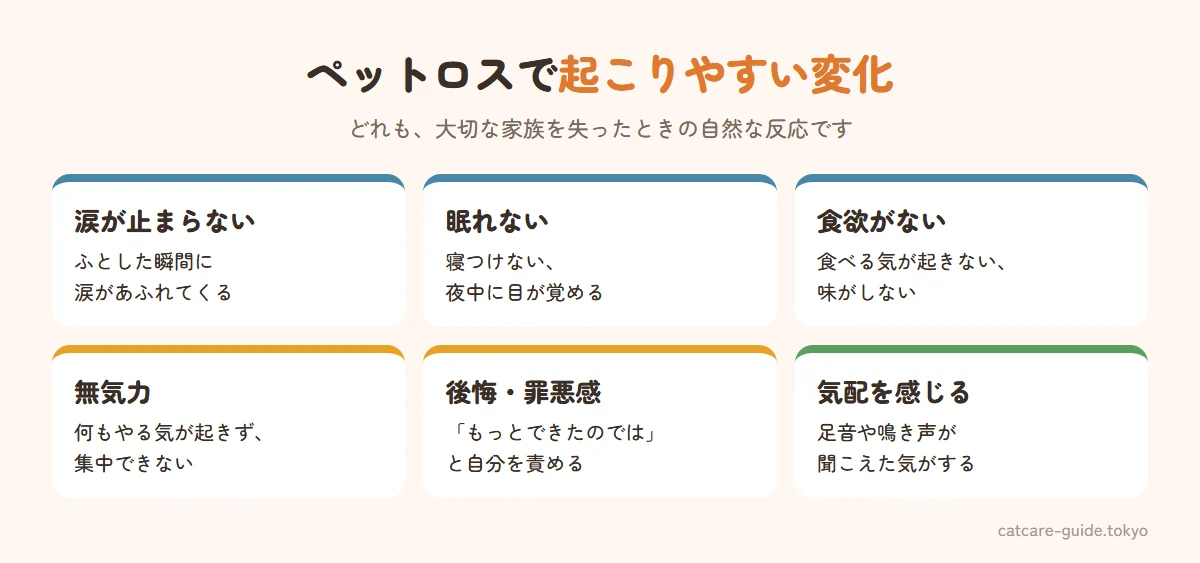 ペットロスで起こりやすい心と体の変化。涙が止まらない・ふとした瞬間に泣いてしまう、眠れない・夜中に目が覚める、食欲がない、何もやる気が起きない・集中できない、「もっとできたのでは」と後悔や罪悪感が続く、足音や鳴き声が聞こえた気がする。どれも大切な存在を失ったときの自然な反応