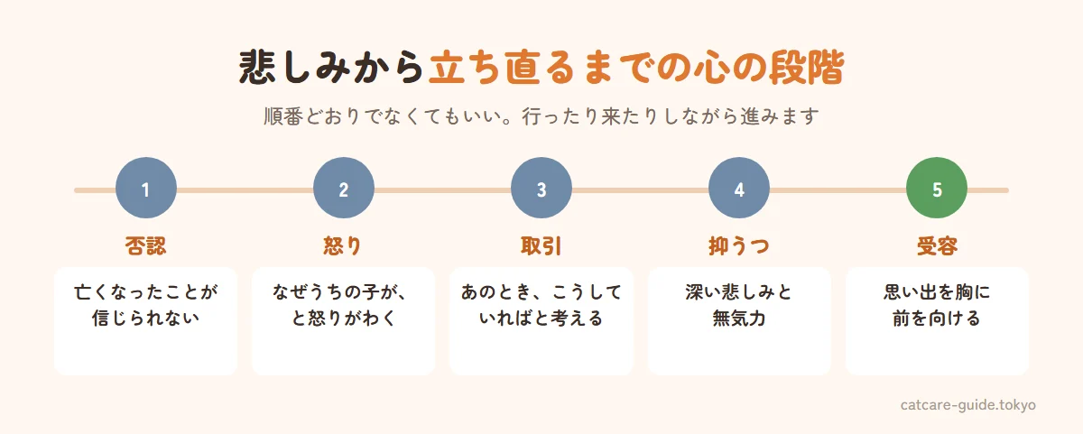 悲しみから立ち直るまでの心の段階。否認は亡くなったことが信じられない。怒りはなぜうちの子が、と怒りがわく。取引はあのときこうしていればと考え続ける。抑うつは深い悲しみと無気力。受容は思い出を大切にしながら前を向ける。段階は行ったり来たりし、順番どおりに進むとは限らない