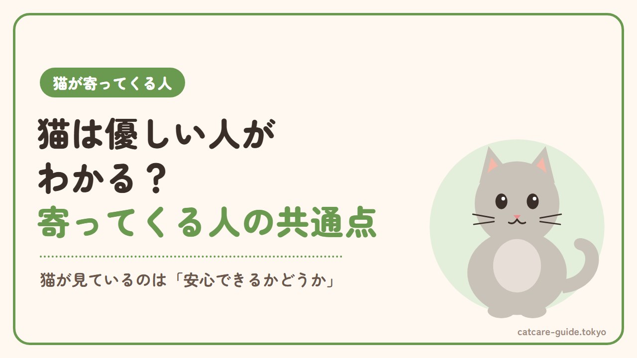 猫は優しい人がわかる