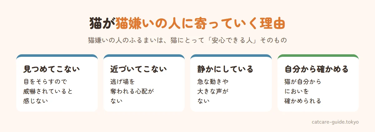 猫が猫嫌いの人に寄っていく理由。猫嫌いの人は猫を見ないので威嚇されていると感じない、近づいてこないので逃げ場を奪われない、静かにしているので怖くない、猫は自分のペースで相手を確かめたい