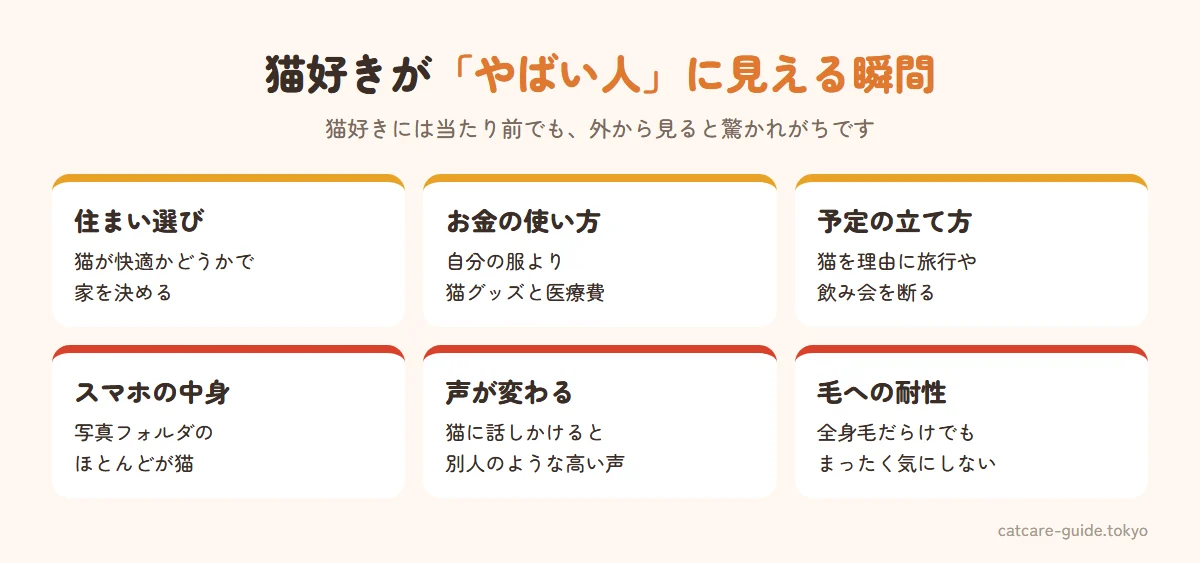 猫好きがやばい人に見える瞬間。猫のために引っ越しや家を決める、給料の多くを猫グッズや医療費に使う、猫を理由に旅行や飲み会を断る、スマホの写真の大半が猫、猫に話しかける声が別人、猫の毛だらけでも平気