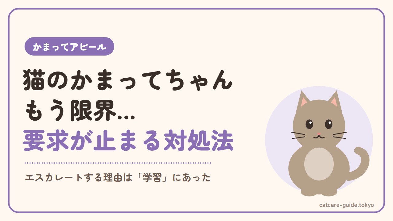 猫のわがまま・かまってちゃんがうざい…要求がエスカレートする理由と対処法